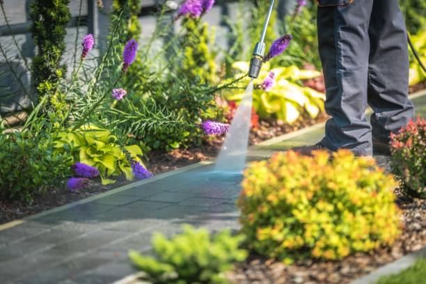 Best Dumpster Area Cleaning  in Middletown, MD